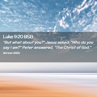 Picture 02 - Luke 9:20 BSB - “But what about you?” Jesus asked. “Who do - Bible Verse Picture