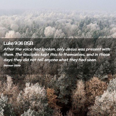 Picture 02 - Luke 9:36 BSB - After the voice had spoken, only Jesus was - Bible Verse Picture