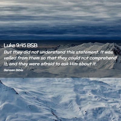 Picture 02 - Luke 9:45 BSB - But they did not understand this statement. It - Bible Verse Picture
