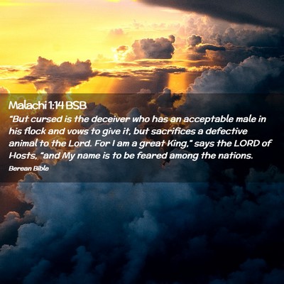 Picture 02 - Malachi 1:14 BSB - “But cursed is the deceiver who has an - Bible Verse Picture