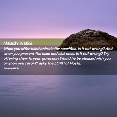 Picture 02 - Malachi 1:8 BSB - When you offer blind animals for sacrifice, is it - Bible Verse Picture