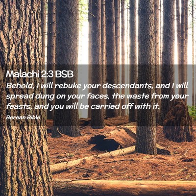 Picture 02 - Malachi 2:3 BSB - Behold, I will rebuke your descendants, and I - Bible Verse Picture