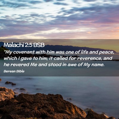 Picture 02 - Malachi 2:5 BSB - “My covenant with him was one of life and - Bible Verse Picture