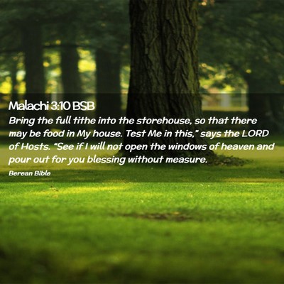 Picture 02 - Malachi 3:10 BSB - Bring the full tithe into the storehouse, so that - Bible Verse Picture