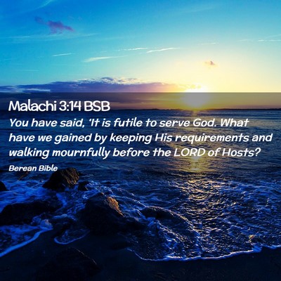 Picture 02 - Malachi 3:14 BSB - You have said, ‘It is futile to serve God. What - Bible Verse Picture
