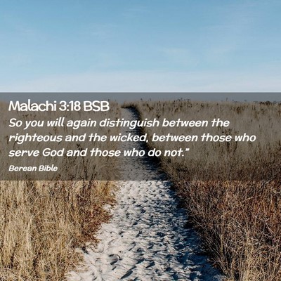 Picture 02 - Malachi 3:18 BSB - So you will again distinguish between the - Bible Verse Picture