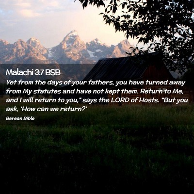 Picture 02 - Malachi 3:7 BSB - Yet from the days of your fathers, you have - Bible Verse Picture