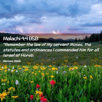 Picture 02 - Malachi 4:4 BSB - “Remember the law of My servant Moses, the - Bible Verse Picture