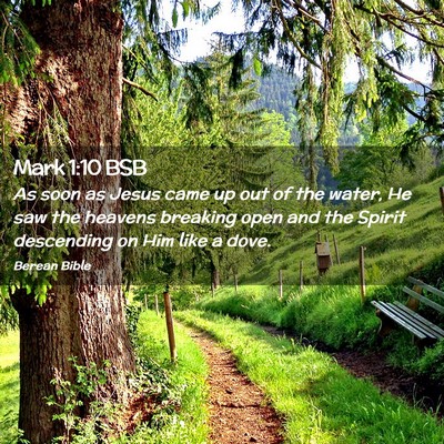 Picture 02 - Mark 1:10 BSB - As soon as Jesus came up out of the water, He saw - Bible Verse Picture