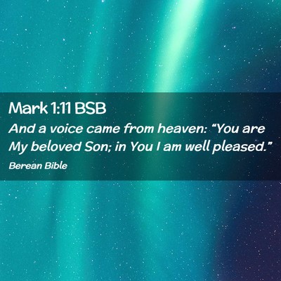 Picture 02 - Mark 1:11 BSB - And a voice came from heaven: “You are My - Bible Verse Picture