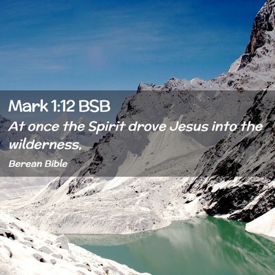 Picture 02 - Mark 1:12 BSB - At once the Spirit drove Jesus into the - Bible Verse Picture