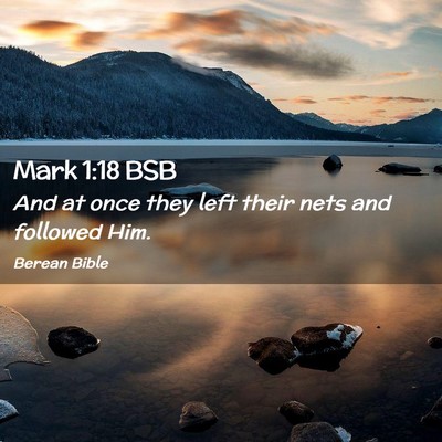 Picture 02 - Mark 1:18 BSB - And at once they left their nets and followed - Bible Verse Picture