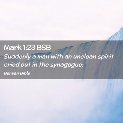 Picture 02 - Mark 1:23 BSB - Suddenly a man with an unclean spirit cried out - Bible Verse Picture
