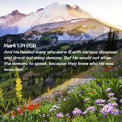 Picture 02 - Mark 1:34 BSB - And He healed many who were ill with various - Bible Verse Picture