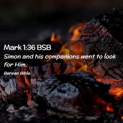 Picture 02 - Mark 1:36 BSB - Simon and his companions went to look for - Bible Verse Picture