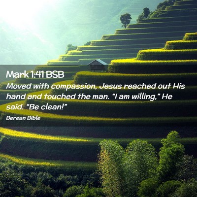 Picture 02 - Mark 1:41 BSB - Moved with compassion, Jesus reached out His hand - Bible Verse Picture
