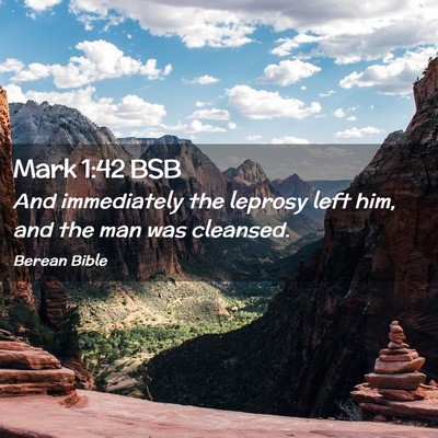 Picture 02 - Mark 1:42 BSB - And immediately the leprosy left him, and the man - Bible Verse Picture