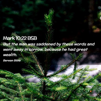 Picture 02 - Mark 10:22 BSB - But the man was saddened by these words and went - Bible Verse Picture
