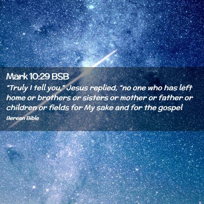 Picture 02 - Mark 10:29 BSB - “Truly I tell you,” Jesus replied, “no one - Bible Verse Picture