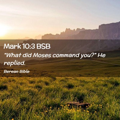 Picture 02 - Mark 10:3 BSB - “What did Moses command you?” He - Bible Verse Picture