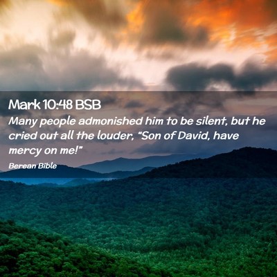 Picture 02 - Mark 10:48 BSB - Many people admonished him to be silent, but he - Bible Verse Picture