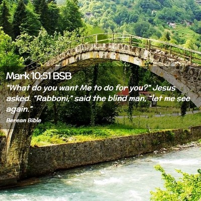 Picture 02 - Mark 10:51 BSB - “What do you want Me to do for you?” Jesus - Bible Verse Picture