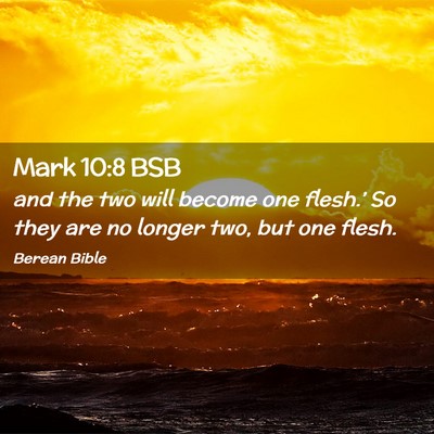 Picture 02 - Mark 10:8 BSB - and the two will become one flesh.’ So they are - Bible Verse Picture