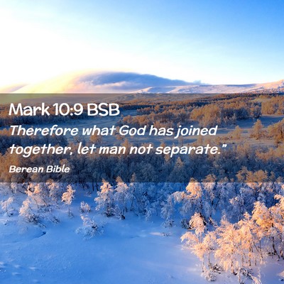 Picture 02 - Mark 10:9 BSB - Therefore what God has joined together, let man - Bible Verse Picture