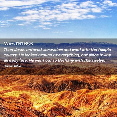 Picture 02 - Mark 11:11 BSB - Then Jesus entered Jerusalem and went into the - Bible Verse Picture
