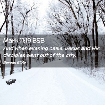 Picture 02 - Mark 11:19 BSB - And when evening came, Jesus and His disciples - Bible Verse Picture