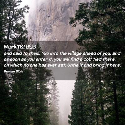 Picture 02 - Mark 11:2 BSB - and said to them, “Go into the village ahead of - Bible Verse Picture