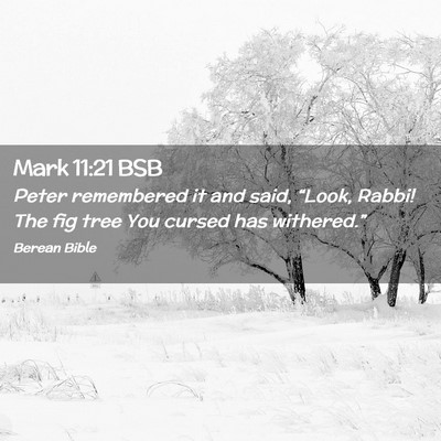 Picture 02 - Mark 11:21 BSB - Peter remembered it and said, “Look, Rabbi! The - Bible Verse Picture