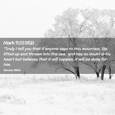 Picture 02 - Mark 11:23 BSB - “Truly I tell you that if anyone says to this - Bible Verse Picture