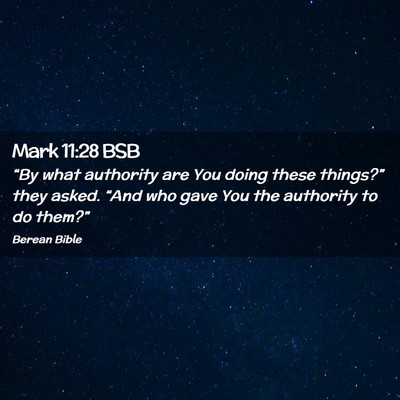 Picture 02 - Mark 11:28 BSB - “By what authority are You doing these - Bible Verse Picture