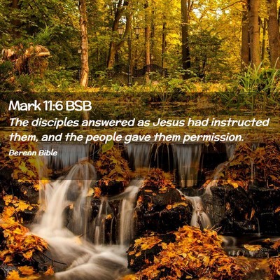 Picture 02 - Mark 11:6 BSB - The disciples answered as Jesus had instructed - Bible Verse Picture