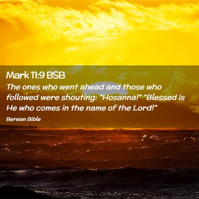 Picture 02 - Mark 11:9 BSB - The ones who went ahead and those who followed - Bible Verse Picture
