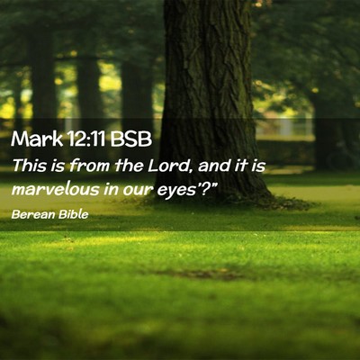 Picture 02 - Mark 12:11 BSB - This is from the Lord, and it is marvelous in our - Bible Verse Picture