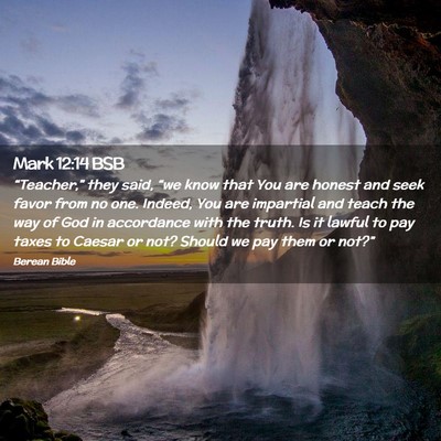 Picture 02 - Mark 12:14 BSB - “Teacher,” they said, “we know that You are - Bible Verse Picture