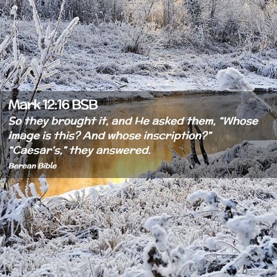 Picture 02 - Mark 12:16 BSB - So they brought it, and He asked them, “Whose - Bible Verse Picture