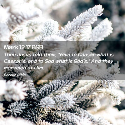 Picture 02 - Mark 12:17 BSB - Then Jesus told them, “Give to Caesar what is - Bible Verse Picture