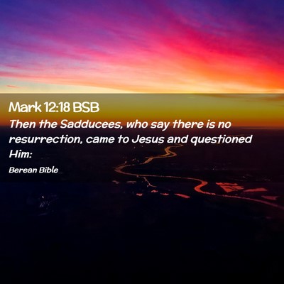 Picture 02 - Mark 12:18 BSB - Then the Sadducees, who say there is no - Bible Verse Picture