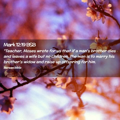 Picture 02 - Mark 12:19 BSB - “Teacher, Moses wrote for us that if a man’s - Bible Verse Picture