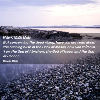 Picture 02 - Mark 12:26 BSB - But concerning the dead rising, have you not read - Bible Verse Picture