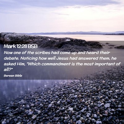 Picture 02 - Mark 12:28 BSB - Now one of the scribes had come up and heard - Bible Verse Picture