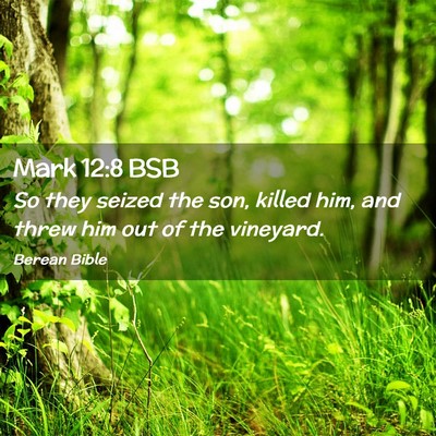 Picture 02 - Mark 12:8 BSB - So they seized the son, killed him, and threw him - Bible Verse Picture