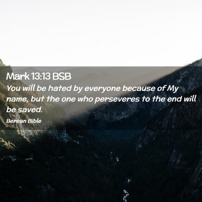 Picture 02 - Mark 13:13 BSB - You will be hated by everyone because of My name, - Bible Verse Picture