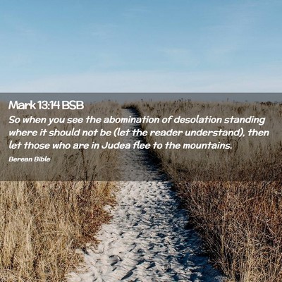 Picture 02 - Mark 13:14 BSB - So when you see the abomination of desolation - Bible Verse Picture