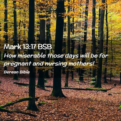 Picture 02 - Mark 13:17 BSB - How miserable those days will be for pregnant and - Bible Verse Picture