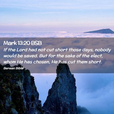 Picture 02 - Mark 13:20 BSB - If the Lord had not cut short those days, nobody - Bible Verse Picture