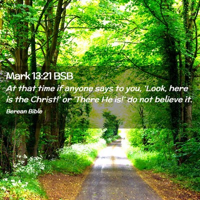 Picture 02 - Mark 13:21 BSB - At that time if anyone says to you, ‘Look, here - Bible Verse Picture